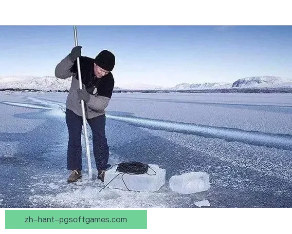 滑冰数据分析：揭秘冰场上的秘密