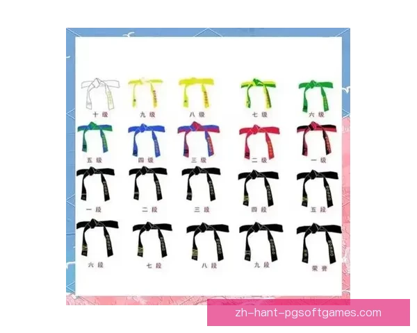 跆拳道实战技巧视频教学